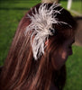 Ostritch Feather Hair Clip
