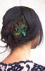 Rhinestone French Barrette with Peacock Feathers